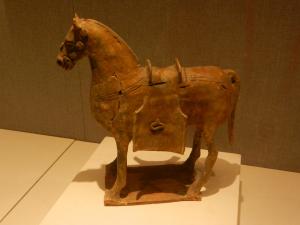 DSCN4829-Xinjiang Horse-1